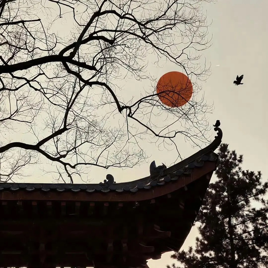 装修过来人的血泪教训：窗帘选错毁全屋，这8个避雷指南省下三千块！