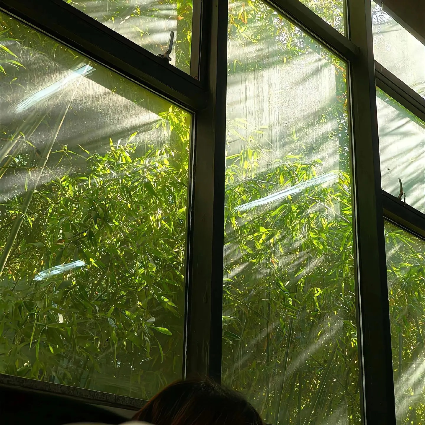 比亚迪涨薪了，几大汽车民企哪家工资高？