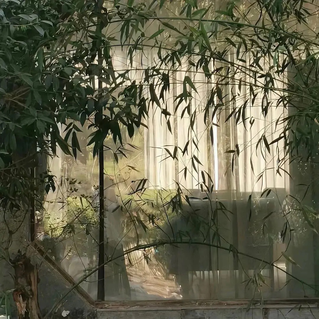 一个奇怪的现象：子女最大的恶，就是花着父母的钱，吃着他们没有吃过的东西，最后还嫌弃他们赚钱的样子很难看。