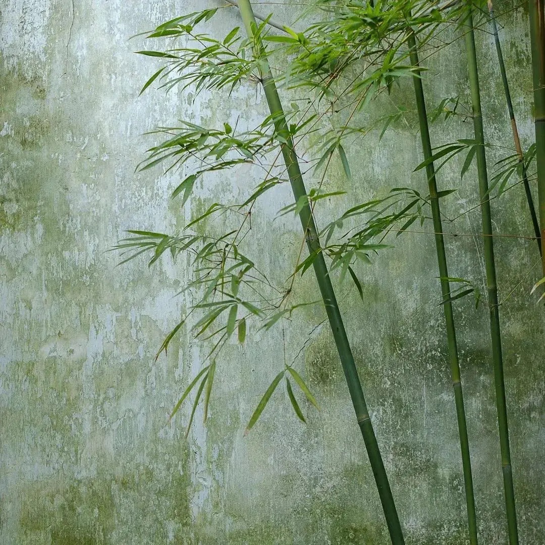 丰田砸下近3000亿！这次“买买买”，背后藏着一个危险的信号