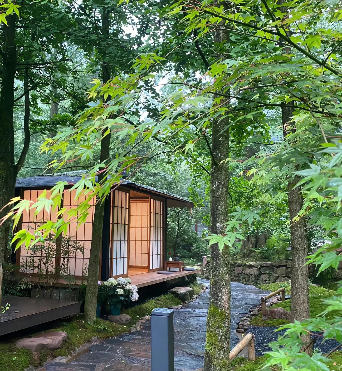 比起昂贵的探店，我更沉迷于亲手烹饪一份晨间治愈