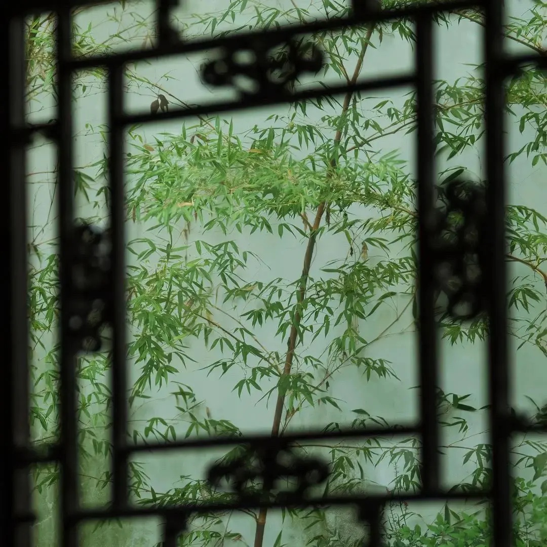 手慢无！近期铁路系统“神仙岗”补录启动，这或许是今年最后一次稳稳上岸的机会