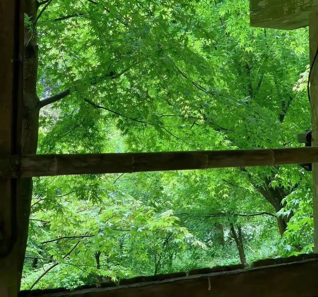 如果生活总要点燃一点热辣，那就从这盆水煮鱼开始吧