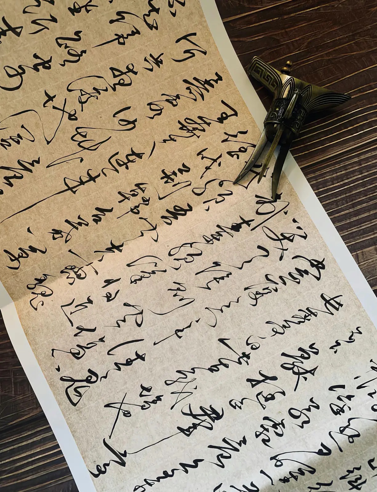 如果家里有一只布偶猫，生活真的会变得完全不同